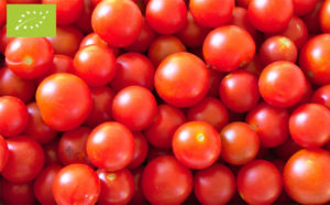 Venta de Tomates Cherrys al mejor precio de internet