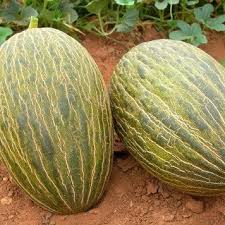 Comprar melones ecologicos online