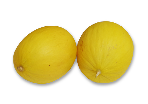 Melón Amarillo