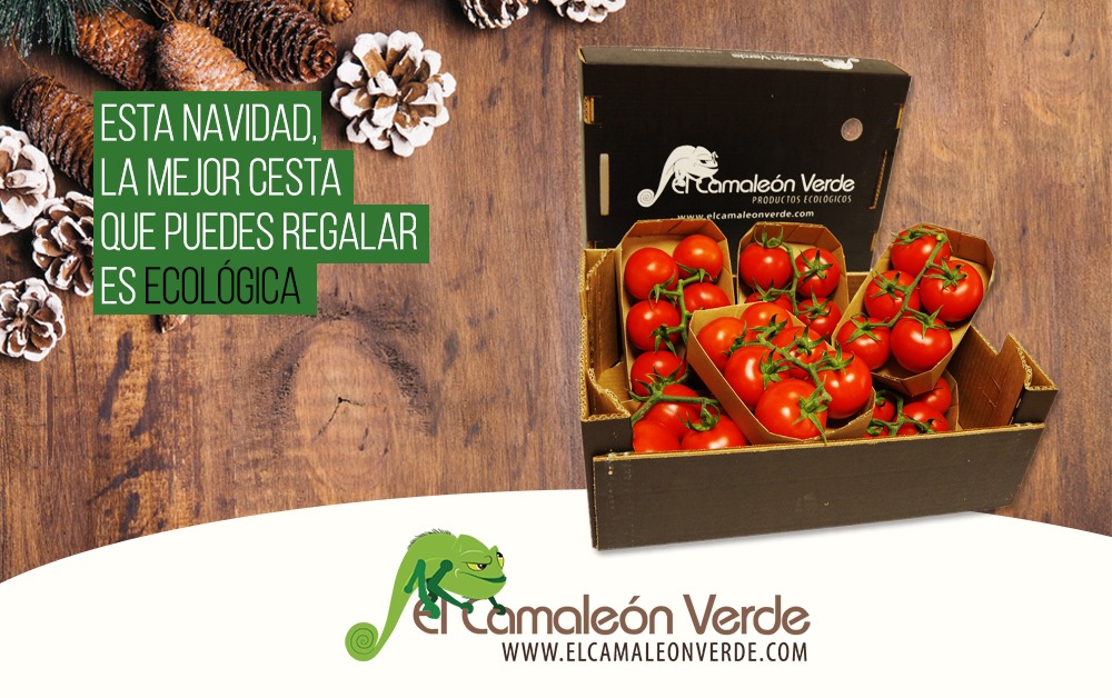 elcamaleonverde.com