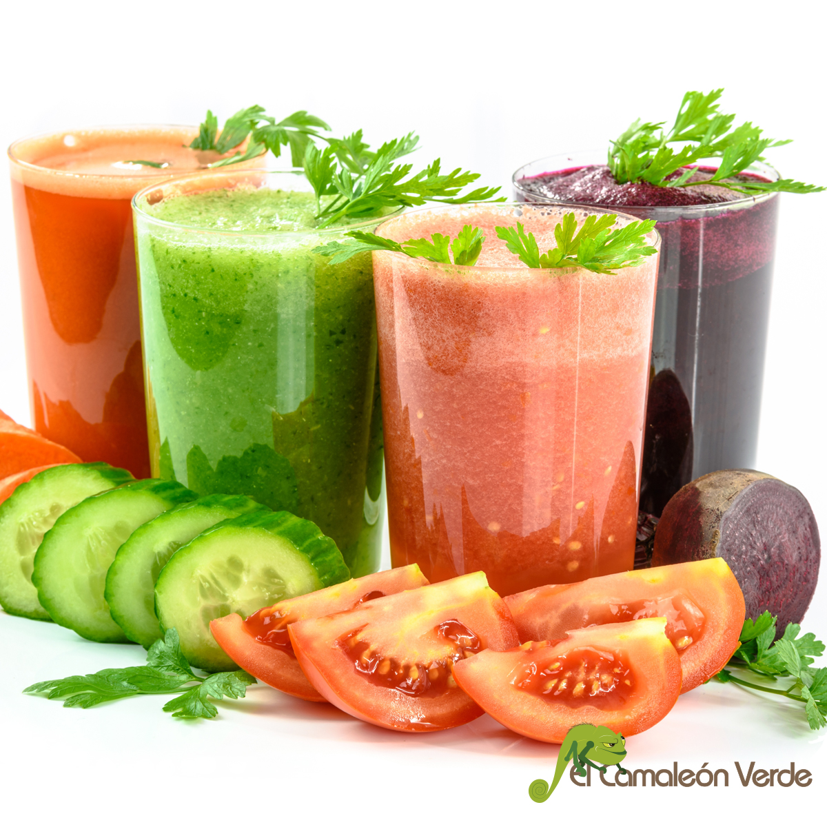 elcamaleonverde.com