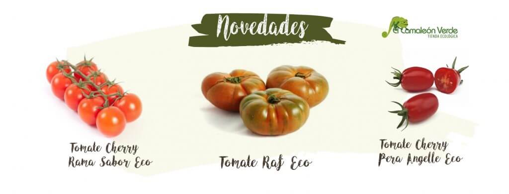 elcamaleonverde.com