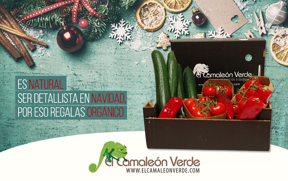 elcamaleonverde.com