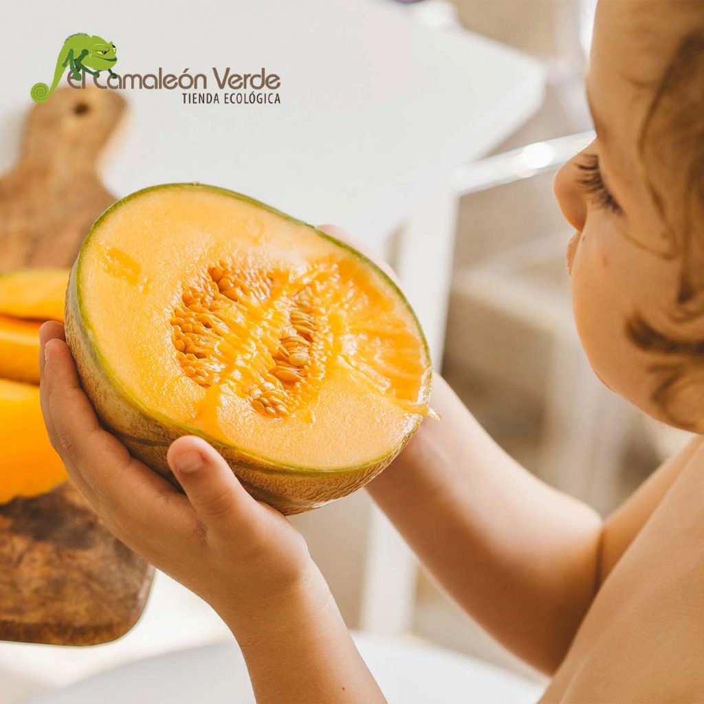elcamaleonverde.com Melón para hacer sopa de melón