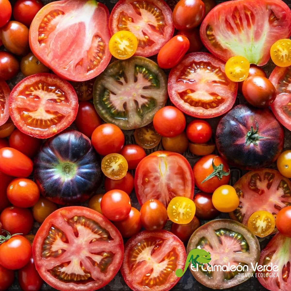 el tomate es una fruta