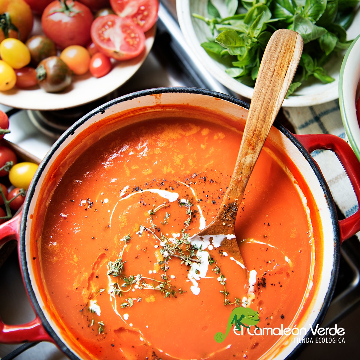Sopa De Tomate Receta Fácil - Top 1 Sopa De Tomate Receta Fácil - Top 1