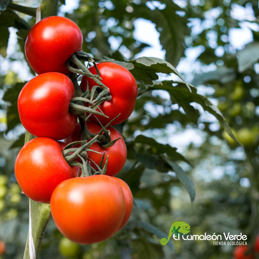 como afecta el cambio climatico a las plantas