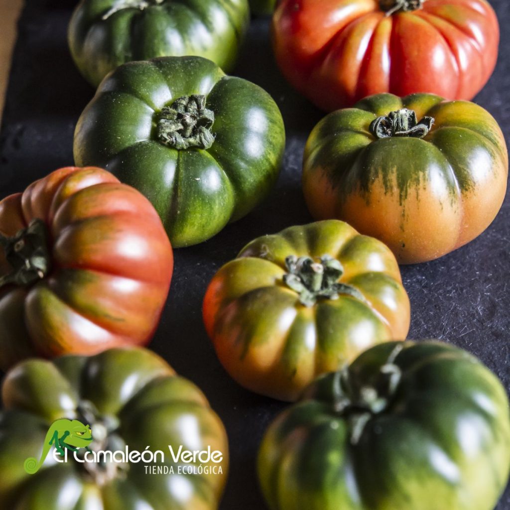 Tomates ecológicos de El Camaleón Verde